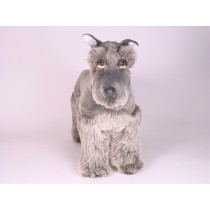 Miniature Schnauzer 1205 by Piutrè