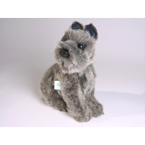 Miniature Schnauzer Puppy 1307 by Piutrè