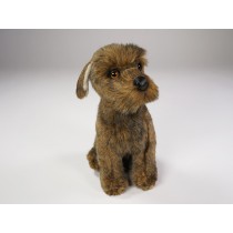 ​Miniature Schnauzer Puppy 3358 by Piutrè
