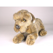 Miniature Schnauzer Puppy 3359 by Piutrè 