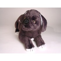 Neapolitan Mastiff Puppy 1298 by Piutrè