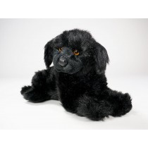 Newfoundland Puppy 2236 by Piutrè