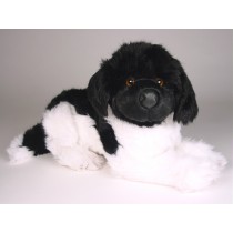Newfoundland Puppy 2239 by Piutrè 