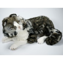 Norwegian Forest Cat 2465 by Piutrè