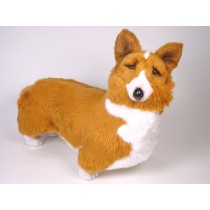 Pembroke Welsh Corgi 1220 by Piutrè
