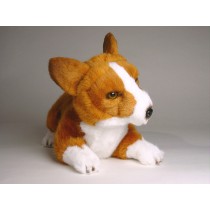 Pembroke Welsh Corgi Puppy 1223 by Piutrè