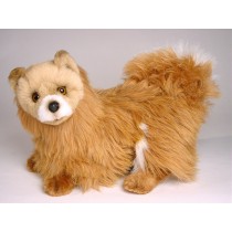 Pomeranian 0279 by Piutrè