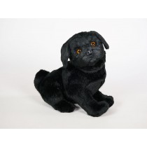 Pug Puppy 3374 by Piutrè