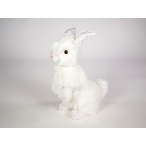 Rabbit 0629 by Piutrè