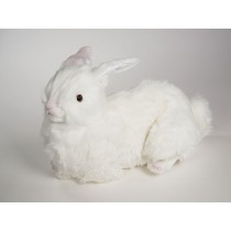 Rabbit 0631 by Piutrè