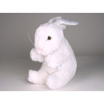 Rabbit 0708 by Piutrè