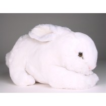Rabbit 0709 by Piutrè
