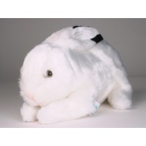 Rabbit 0710 by Piutrè