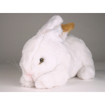 Rabbit 0711 by Piutrè