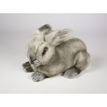 Rabbit 0721 by Piutrè