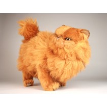 Red Persian Cat 2452 by Piutrè 