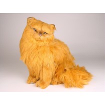 Red Persian Cat 2455 by Piutrè