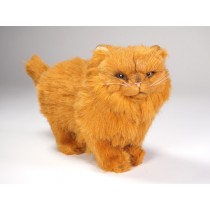 Red Persian Kitten 2453 by Piutrè