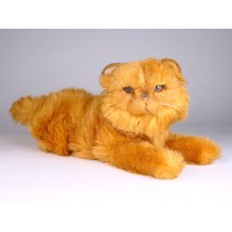 Red Persian Kitten 2456 by Piutrè