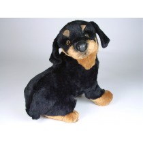 Rottweiler Puppy 2259 by Piutrè 