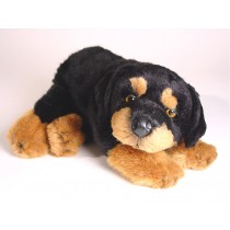 Rottweiler Puppy 3310 by Piutrè 