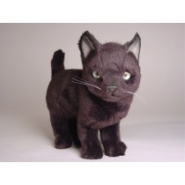 Russian Blue Kitten 2351 by Piutrè 