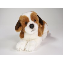 Saint Bernard Puppy 3327 by Piutrè 