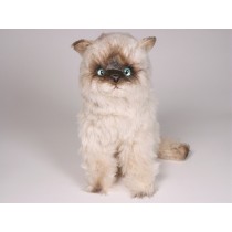 ​Seal Point Himalayan Cat 2366 by Piutrè 