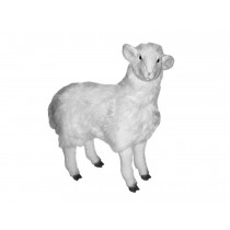 Sheep 2406 by Piutrè 