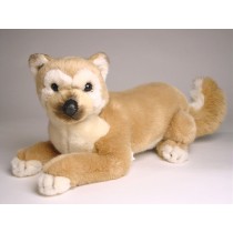 Shiba Inu Puppy 1249 by Piutrè