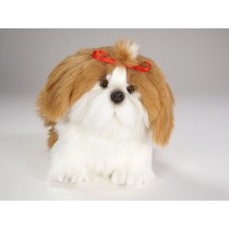 Shih Tzu 2278 by Piutrè 