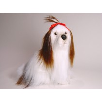 Shih Tzu 3272 by Piutrè 