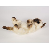 Siamese Cat 2328 by Piutrè 