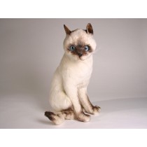 Siamese Cat 2353 by Piutrè 