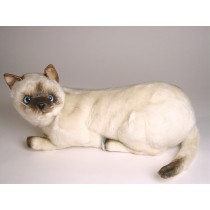Siamese Cat 2354 by Piutrè 