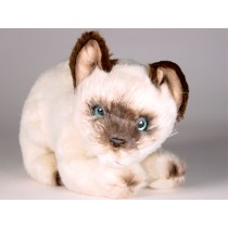 Siamese Kitten 2348 by Piutrè 