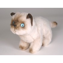 Siamese Kitten 2446 by Piutrè 