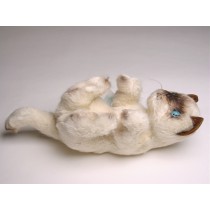 Siamese Kitten 2449 by Piutrè 