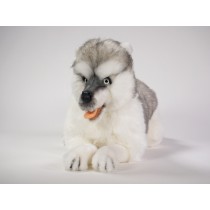 Siberian Husky 4845 by Piutrè 