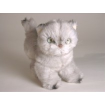 Silver Persian Kitten 2426 by Piutrè 