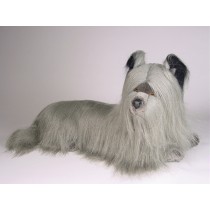 Skye Terrier Puppy 1269 by Piutrè