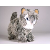 Soriano Kitten 0320 by Piutrè