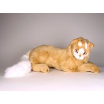 Turkish Van Cat 0327 by Piutrè