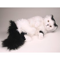 Turkish Van Cat 0330 by Piutrè 