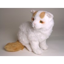 Turkish Van Kitten 2318 by Piutrè