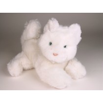 White Kitten (Morbidone) 2614 by Piutrè 