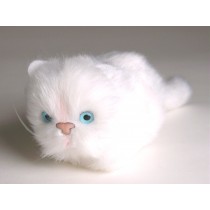 White Kitten 2325 by Piutrè 