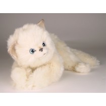 White Kitten 2441 by Piutrè