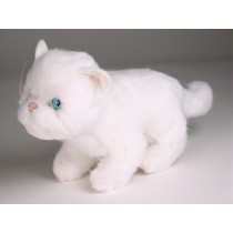 White Kitten 2447 by Piutrè 