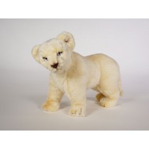 White Lion Cub 2538 by Piutrè 